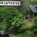 용지농장 이미지