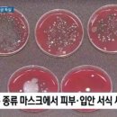 마스크 착용 세상에 이럴 수가 이미지