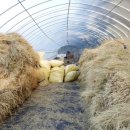 볏짚농장 이미지