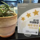 부뚜막당동족발