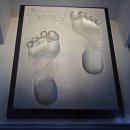 황영조기념관 이미지