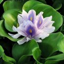 김포시 노인복지회관 이미지