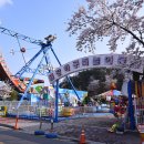 충남종합 관광안내소 이미지