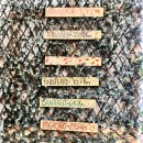 산솔내음 | 세계여행#26 산티아고 순례길 5일차 로그 아크로스에서 비아나18.1km “생각보다 괜찮았던 하루”