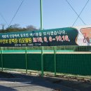 수안보인공암벽장 이미지