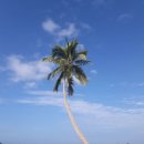 남태평양 이미지