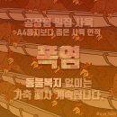 다닭다닭 이미지
