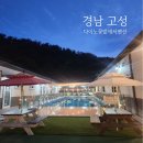 다이노 꽃밭에서 이미지