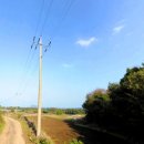 수산1리 이미지