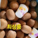 용수농장 이미지