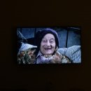 효원목장 이미지