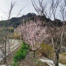 산속정원캠핑장 이미지