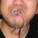 무안세발낙지 이미지