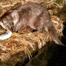 화제낚시터 이미지