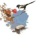 아이핏안경 이미지