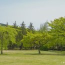 남구-78 이미지