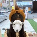 반포대로28길 72 이미지