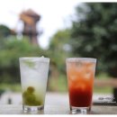 보타니카 170 이미지