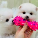 하루산책 이미지