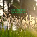 글리머 - 성동구 | 글리머