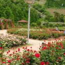 평림댐장미공원 이미지