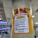 함평군청 2청사 3층 동편 화장실 | 15개월 돌아기와 함께 간 제주 김포공항 제주공항 렌트카 카시트 대여 내돈내산