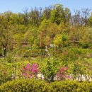 푸른수목원 이미지