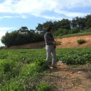 석문면사무소 이미지