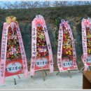 경북 정재훈부회장님 배 꽃 축제 다녀왔어요. 이미지