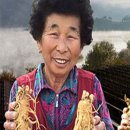 인삼좋은집