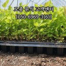 웰빙약초농원