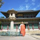 보리수하 이미지