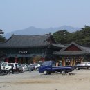 신평 정류소 Daum카페