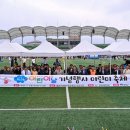 양평종합운동장(주경기장) 이미지