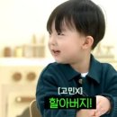 태하생각