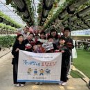 동네방네 이미지