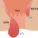 유항외과 이미지
