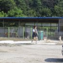 윤지애견 이미지