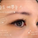 오늘도 예쁜눈