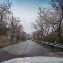 벚꽃마을경로당 이미지