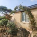 알밤오름하우스 이미지