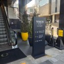 보코 서울 강남 | 보코서울 강남 하객 웨딩 양식 코스요리 후기