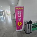 혜천로 | 대전 베이비키즈페어 솔직 후기｜규모 작지만 나들이로는 괜찮았어요