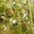 곡정초등학교 이미지