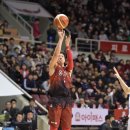 코리아1위인삼