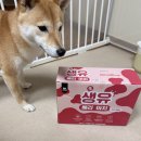 마치 | [협찬] 마이베프 생유베리마치 후기_강사모카페