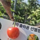 오늘자 품종사진들 이미지