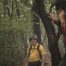 천남중학교 이미지