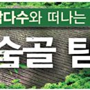 세화초등학교 이미지