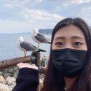 옥계가스 | 삼척 여행 1박 2일 <해상 케이블카, 대금굴, 장호항>